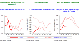 Les prix des produits agricoles à la production baissent sur un an. © Agreste Les prix des produits agricoles à la production baissent sur un an. © Agreste